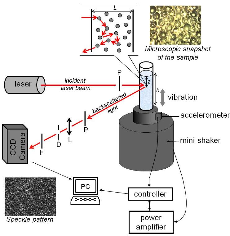 MICROSCOPIC MEASUREMENTS o Link between the reorganization time and the rheology for fluid saturated systems «Micro-macro link» Multispeckle diffusing wave spectroscopy Local measurement of the