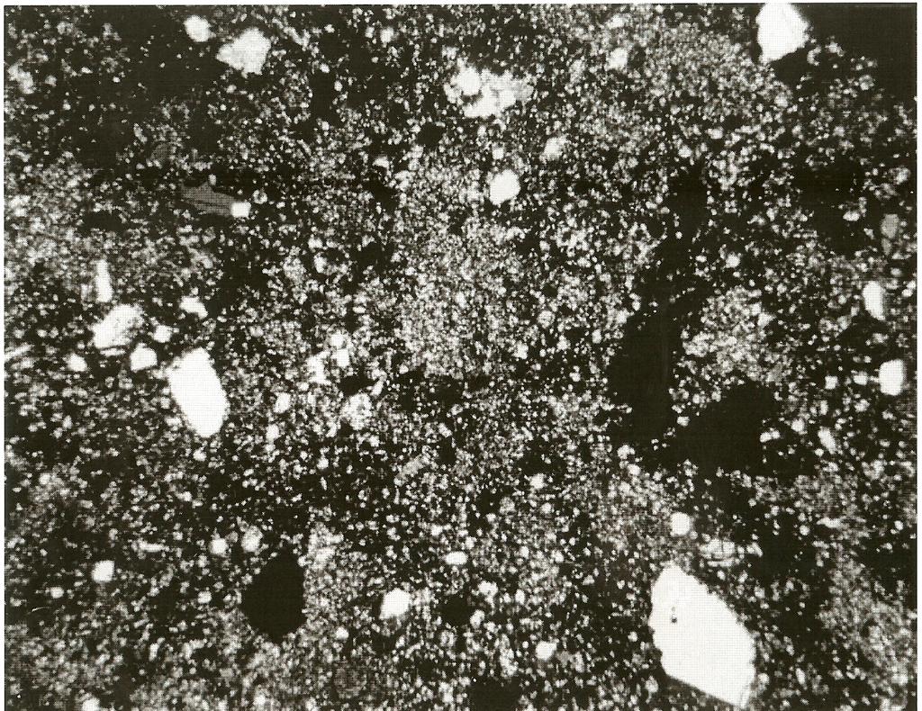 Figure 4: Thin section photo with crossed-polarizers, of 64569,4, showing poikilitic texture with included clasts. Width of field is 3 mm.