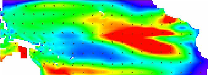 Model structure Tuna habitats Parameters to