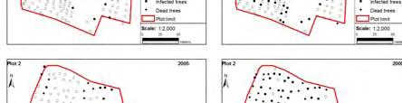 Resuls In Plot 1, there was statistically significant clustering of infected trees at distances