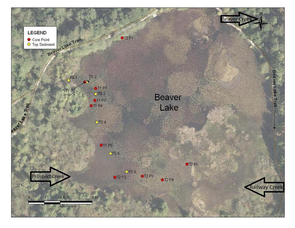 Figure 1: Beaver Lake and sediment sampling locations.