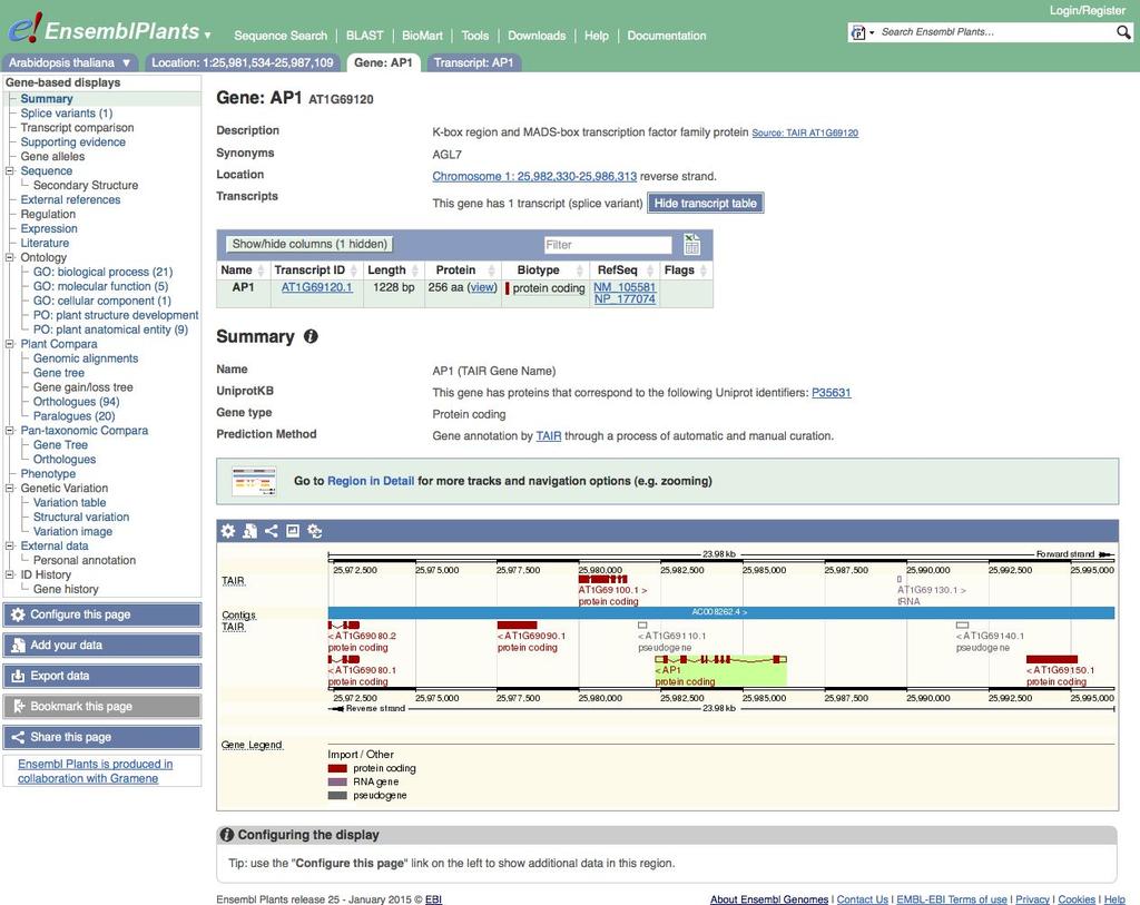 Let s now explore the Gene tab. We will walk you through some of the links in the left hand navigation column.