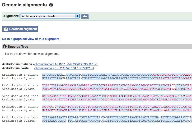 Let s now move to the Transcript tab to explore the splice isoform of our AP1 gene by clicking on the ID of the only transcript annotated in that locus