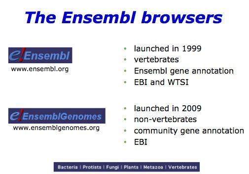 Ensembl Genomes has been empowered by its sister project Ensembl, launched 10 years earlier, in 1999 just before the release of the first draft the human genomic sequence.