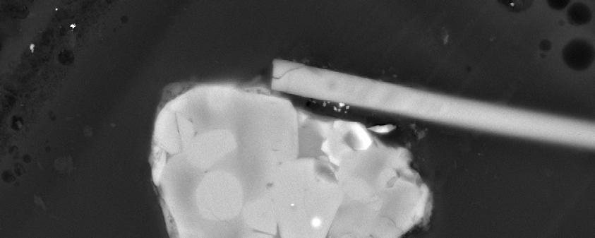 20 µm particle Torajiro
