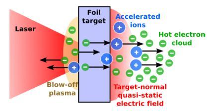Ion acceleration by fs laser pulses quasineutral acceleration in thin solid