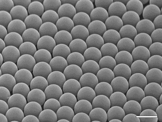 Monolayer of microspheres on foil There is no big difference between structure shapes.