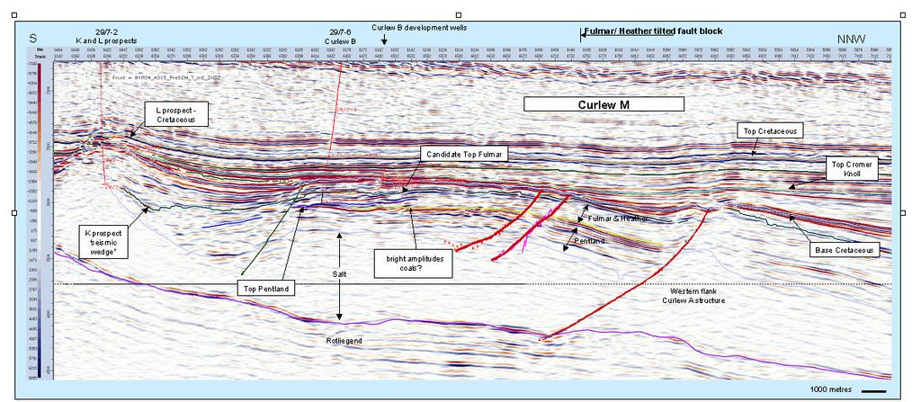 N-S Seismic line across Curlew A, Lead M, the Curlew B Field and the K and L leads 6.