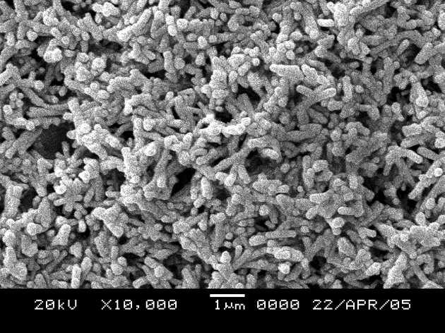 Thresiamma George, Sunny Joseph and Suresh Mathew Figure 2. SEM image of rod-like nanocrystalline silver tungstate. Figure 3. TEM image of rod-like nanocrystalline silver tungstate.