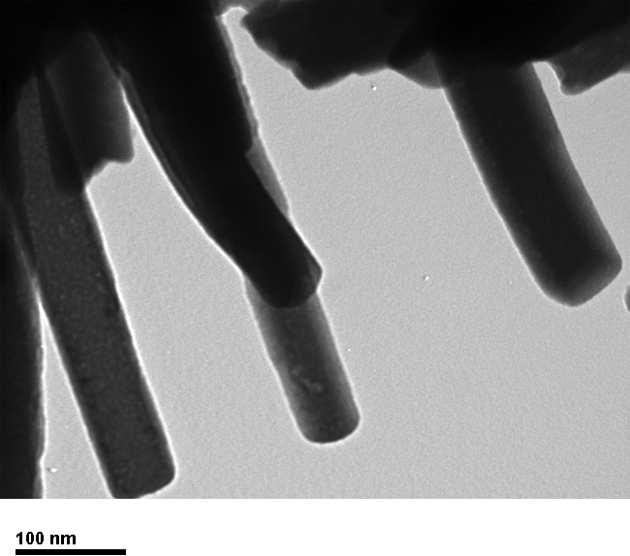 Figure 4 shows the SEM image of the fiber-like Ag 2 WO 4 nanoparticles. Each fiber is having an average diameter of 0.50 µm and length approximately 100 µm showing a high aspect ratio.