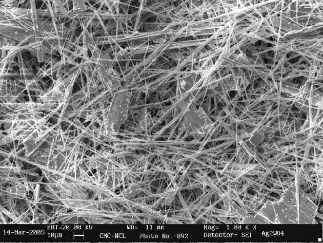 Synthesis and characterization of nanophased silver tungstate Figure 4. SEM image of fiber-like nanocrystalline silver tungstate. Figure 5. TGA and DTA curves of rod-like silver tungstate.