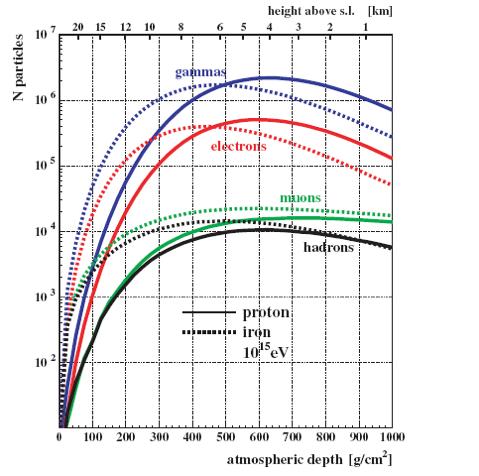 Development in atmosphere of EAS produced by protons or Fe nuclei at E=10 15 ev Hadronic Interaction Models needed to simulate the particle interactions