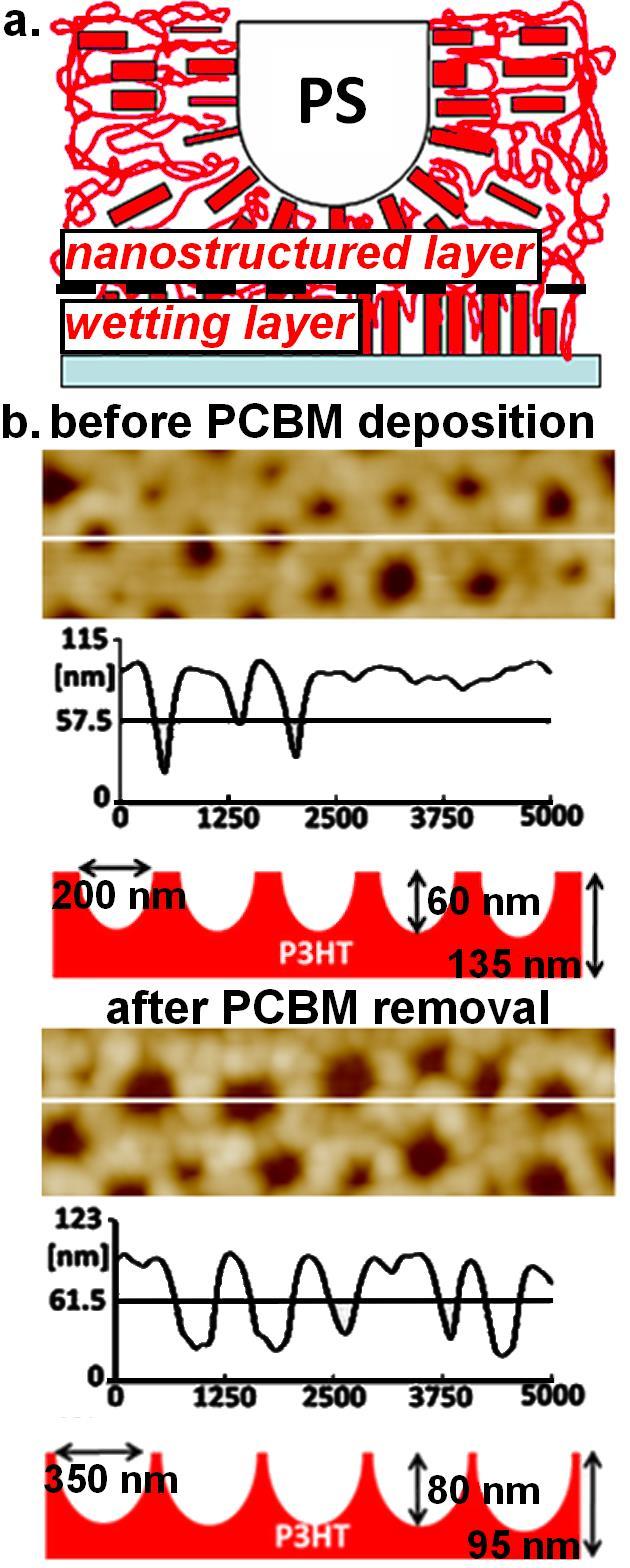 Fig. 1: (a) schematic representation of the P3HT chains in nanostructured thin P3HT films and (b) morphological changes of the P3HT porous structure before and after PCBM
