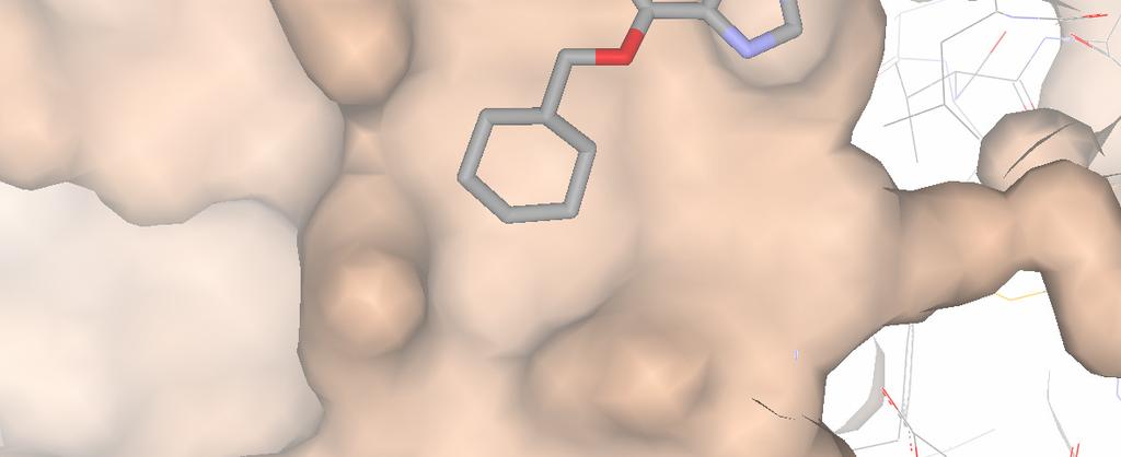 occupies pocket in hinge cleft find compounds