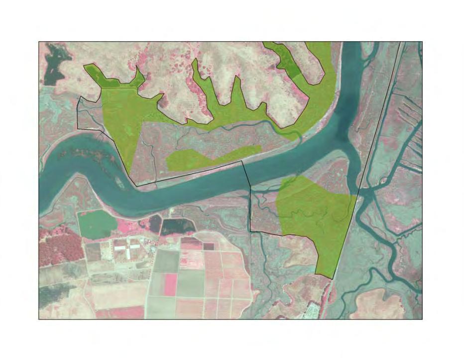 Wetland extent: lower