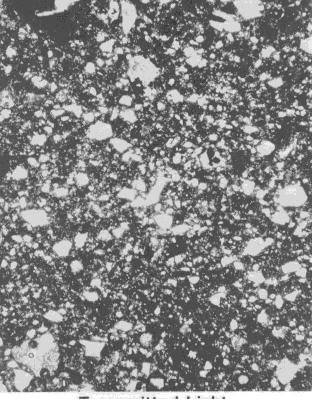 Figure 5a: Transmitted light photo of thin section of. Figure 5b: Reflected light photo of thin section of.