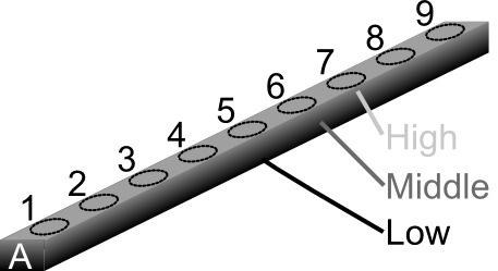 One half of a produced panel was characterized regarding its electrical conductivity. Due to symmetry it is assumed that it representative of the other half out of which bending beams were produced.
