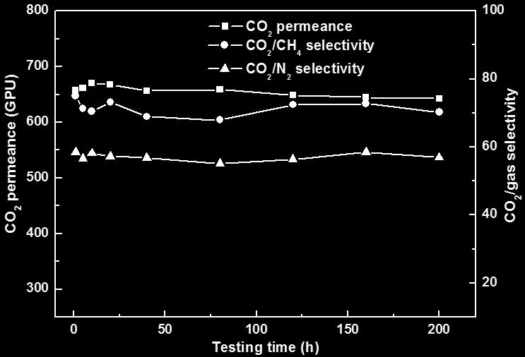 Figure S10. CO 2 permeance stability of B-GO(50)/PES membrane over a 200 h time period (at 1 bar, 30 C).