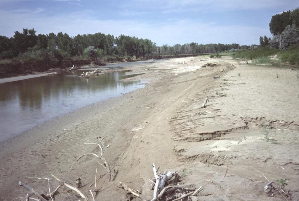 of meters upstream of line of section Bottom. 19 July1977.