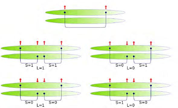 The spin structure of the stringy decays We assume that the spin degrees of freedom are carried by the particles that are on the string
