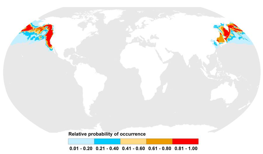 Dataset ID: Kaschner-001 Global Distribution of Northern Fur Seals (2013) Description: This dataset shows the modelled distribution of Northern fur seals (Callorhinus ursinus). AquaMaps (www.aquamaps.