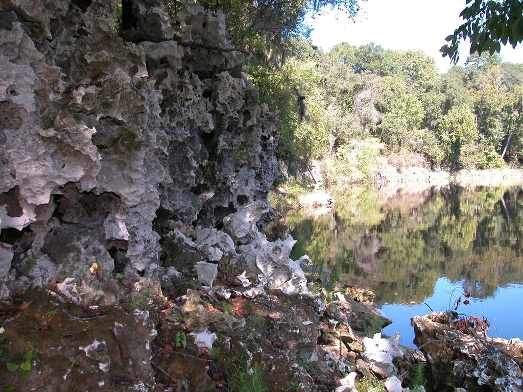 Carbonate rocks are porous