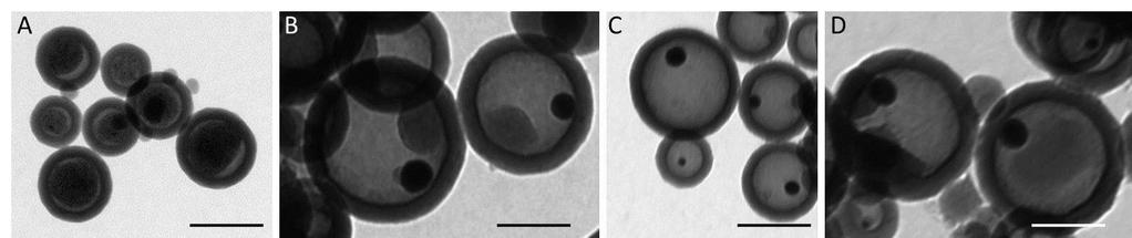Figure S5 Figure S5: TEM images of AuSi (A) and