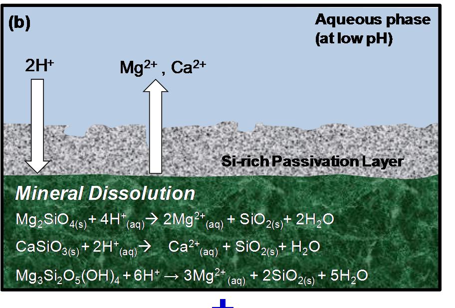 Opportunities in Accelerated Carbonate