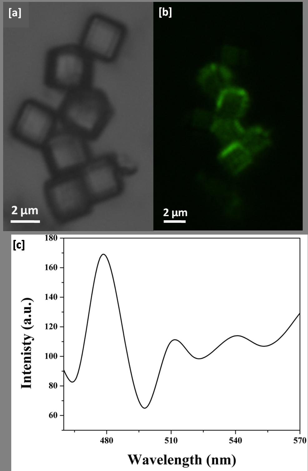 Post-synthetic modifications of metal-organic nanostructures (cage/cubes): 2 mg of [M(C 4 O 4 )(H 2 O) 2 ] n nanocubes or nano were immersed in 2 ml of ethanol solution containing OPV-NH 2 (0.