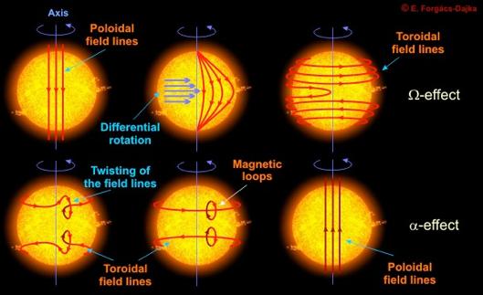 Stellar dynamo and magnetic activity For Sun-like stars (F, G, K dwarfs) magnetic fields are