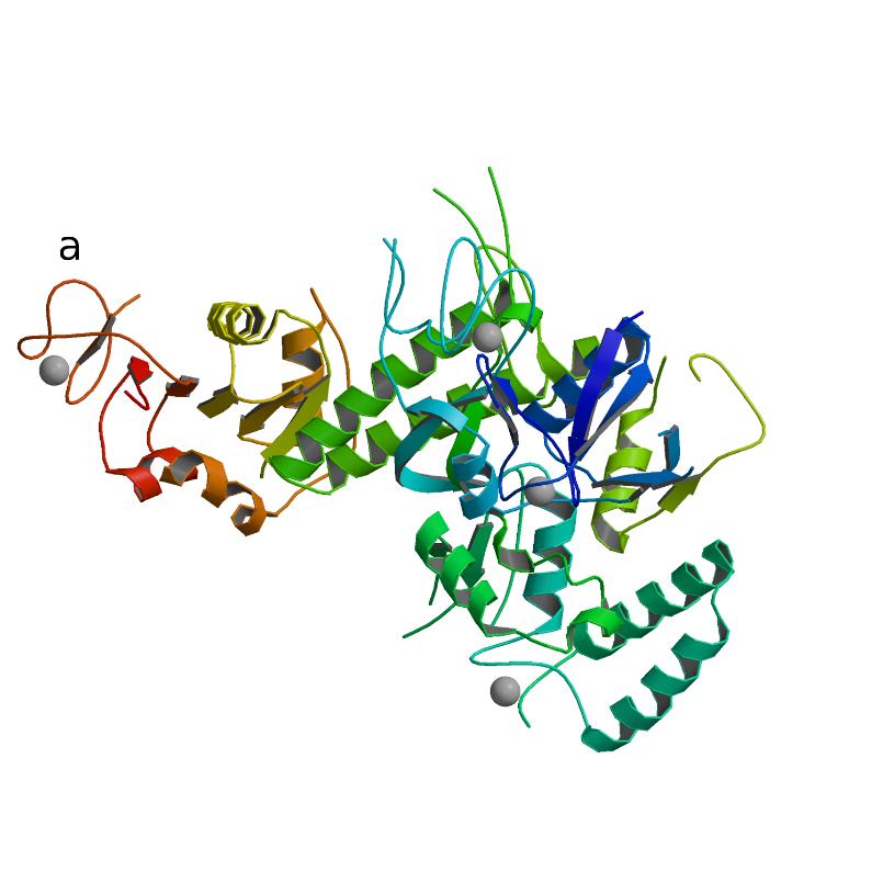 Related RNA polymerases complex from Cramer et al. 3.3 Angstrom data with signal from zinc.