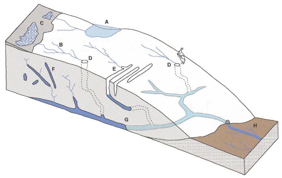 Subglacial water flow A Supraglacial lake; B Surface streams; C Swamp zones near the edge of the firn; D Moulins; E Crevasses F Water filled fractures G Subglacial tunnels H Runoff from the glacier