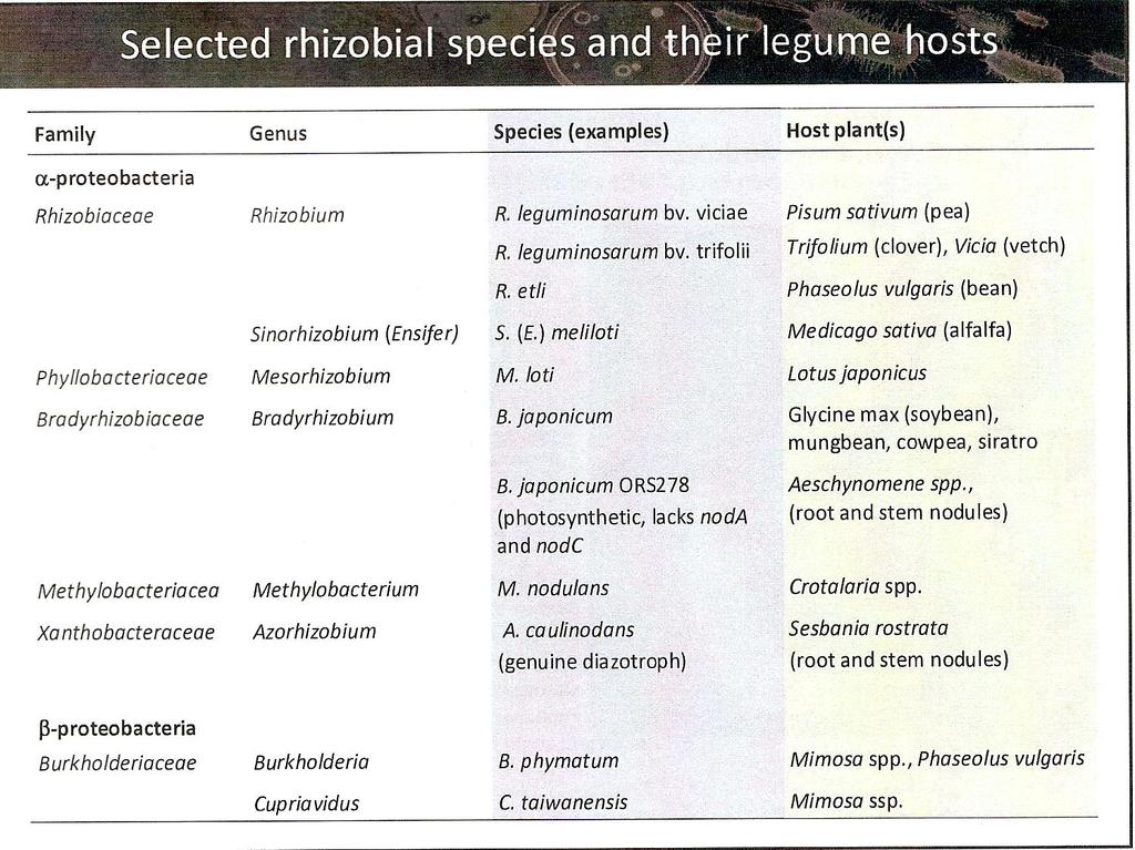 Genetic Resources of Rhizosphere 19 Source: Presentation given by H.M. Fischer.