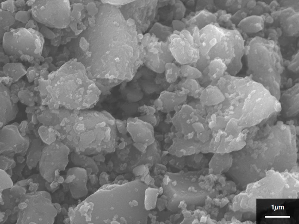 Fig. S8 FE-SEM image of the calcined sample