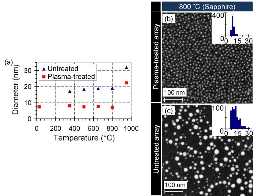 Figure S12 Effect of thermal annealing on plasma-treated and untreated 2D arrays of thiol-terminated polystyrene (20 kda) coated 7-nm size gold nanoparticles deposited on a sapphire substrate.