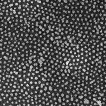 (d) Photograph of a swabbing experiment and that of a nanoparticle array on paper (inset).