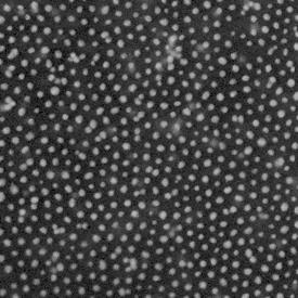 Sub-micron sized holes present on the surface of a photopaper, designed for wicking liquids away to an underlying absorbent
