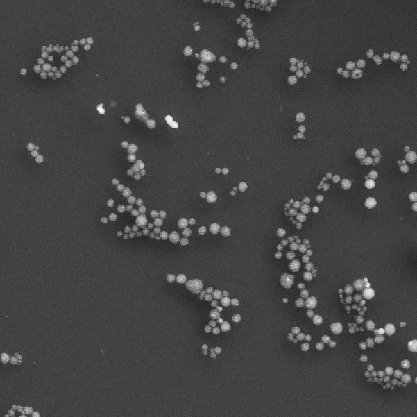 a b 1000 nm 100 nm Figure S5 Representative FESEM image of thiol-terminated polystyrene