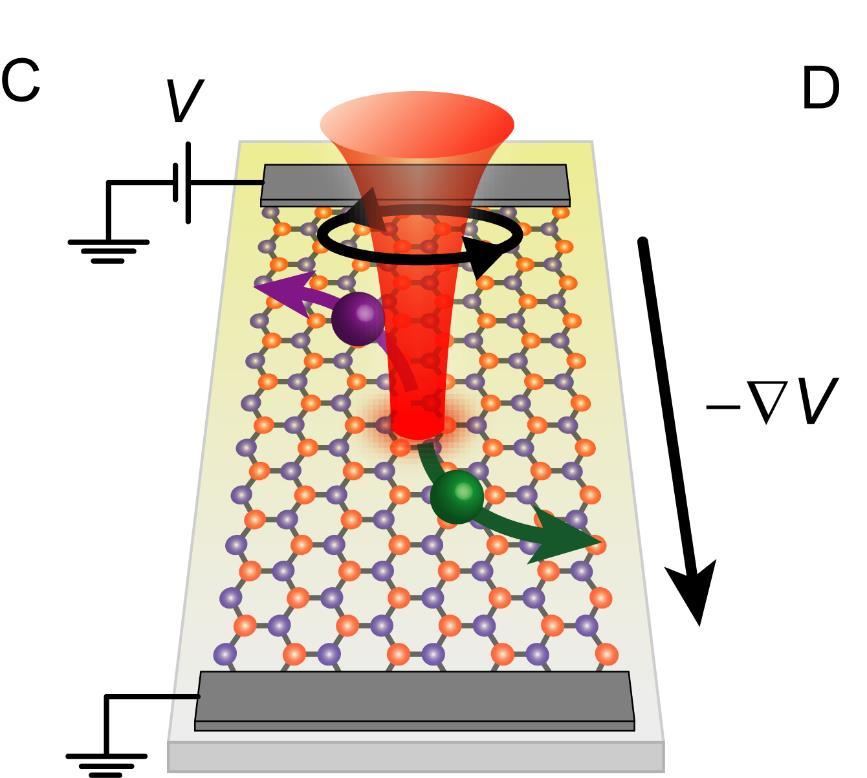 Valley Hall effect in monolayer MoS2