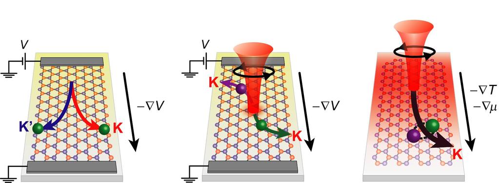 Valley Hall Effect in TMD monolayer 1 E( k) 1 r ( r) Ωk ( ) k Potential gr