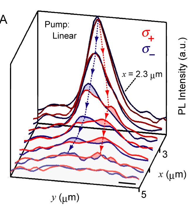 Observation of exciton Hall effect Polarization-resolved PL