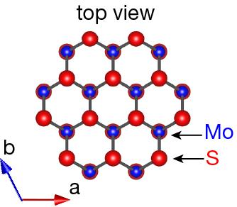 Monolayer MoS 2 ; a new class of noncentrosymmetric SC Trigonal structure with simple band structure with out-of-plane spin