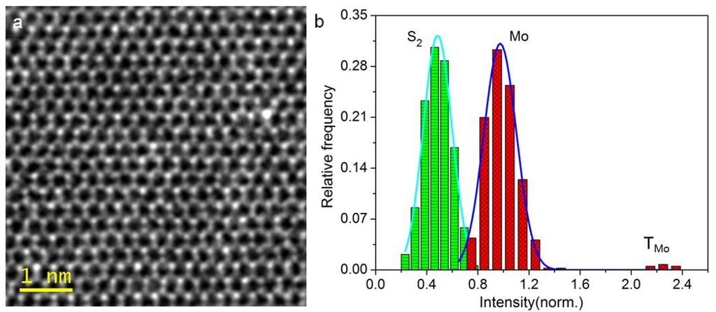 Figure S6. Intensity fluctuation of Mo sites and S 2 sites in ADF images of monolayer MoS 2. (a) A typical example of experimental ADF-STEM image.