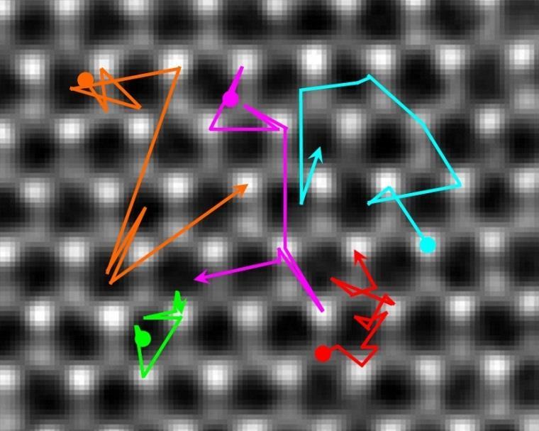 coordinated with four S atoms; and for TS of adatom in c, the mobile adatom Mo is only coordinated with two S atoms.