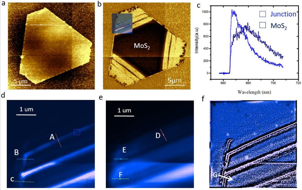 Figure 2. Nanoscale imaging of the multi-junction MoS2-WS2 lateral heterostructure. a. AFM topography image and b AFM phase image; inset shows the TEPL scanning area. c.