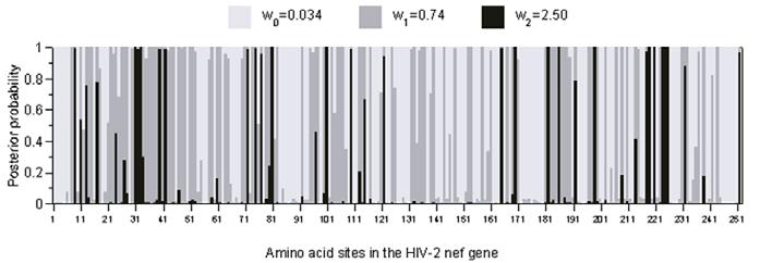 5 Adaptive Protein Evolution 119 Fig. 5.6. Posterior probabilities for sites classes under M3 (K = 3)along the HIV-2 nef gene alignment. sampling errors.