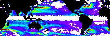 Such large eddy sizes relative to the Rossby radius have also been noted from in situ data in the subtropical North Pacific [Roemmich and Gilson, 2001].