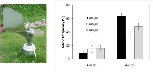 2010/11-2011/12 For some Avr genes, populations differ between sites Advantages of air