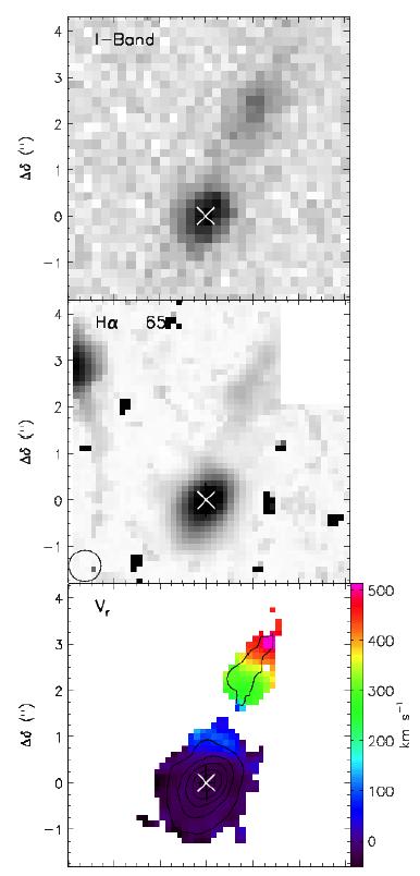 Close environment classification Interacting systems Companion detected both - in the Ha map and - in the continuum