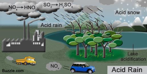 Human Impacts on the Acid Rain Acid rain is created when sulfur dioxide (SO